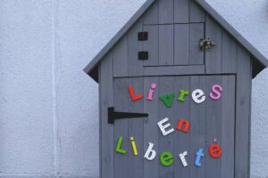 Lire la suite à propos de l’article 3 boîtes pour des centaines de livres