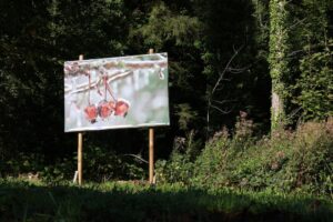 Lire la suite à propos de l’article Nature et vitalité: exposition en plein air