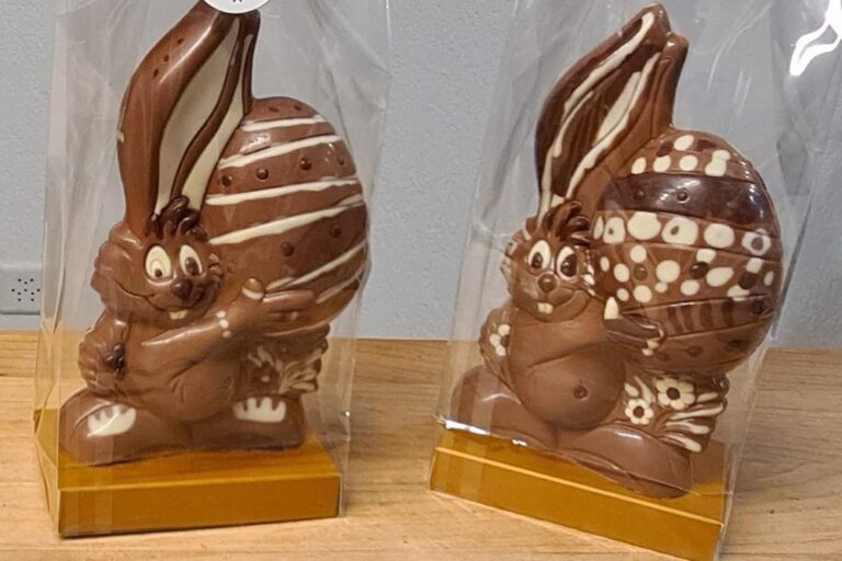 Apprenti chocolatier