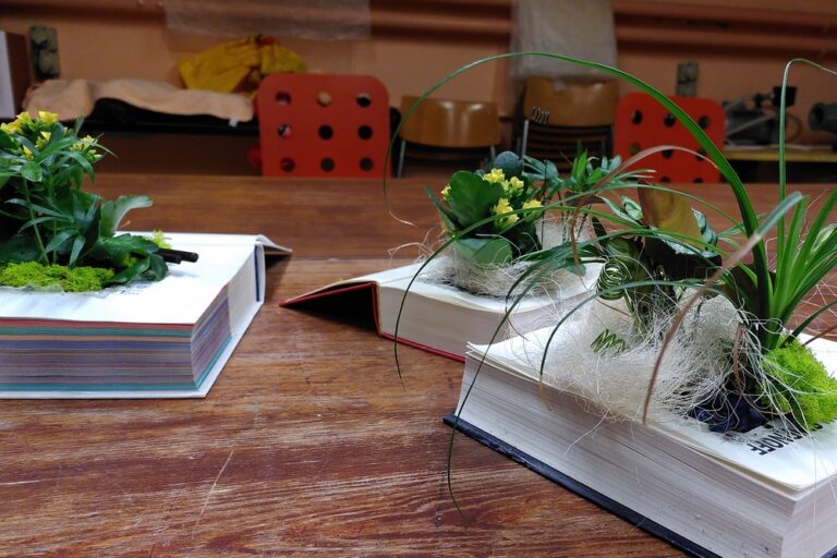 Livre décoratif