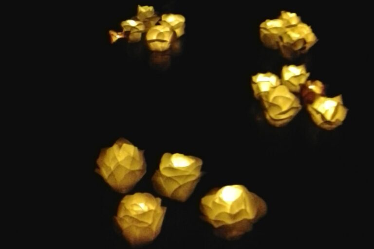 Roses lumineuse